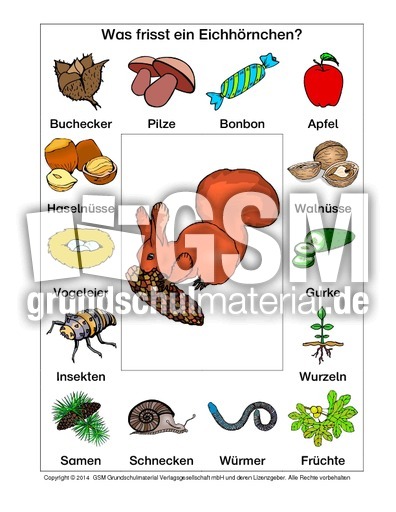 AB-Eichhörnchen-Nahrung-2.pdf